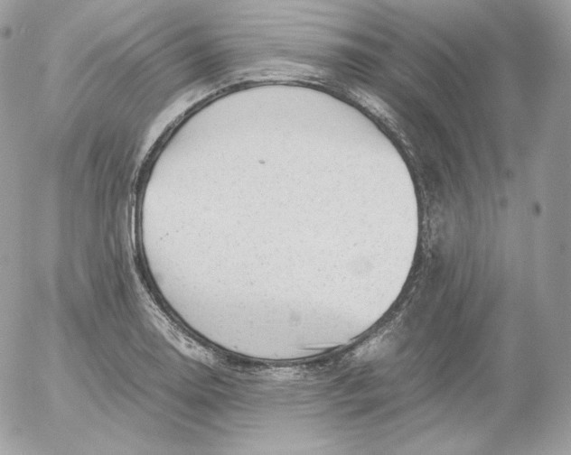 X0000052601130200507221627