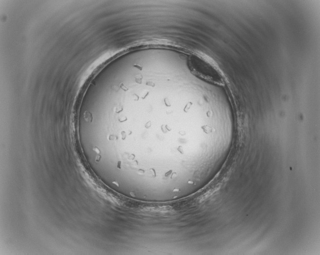 X0000052601133200507221627