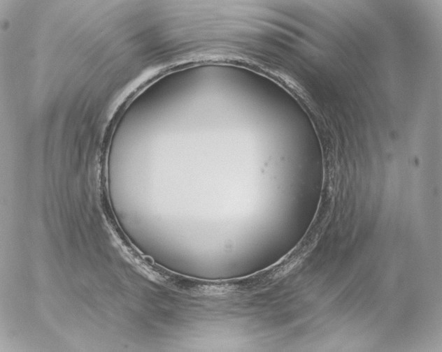 X0000052601134200507221627