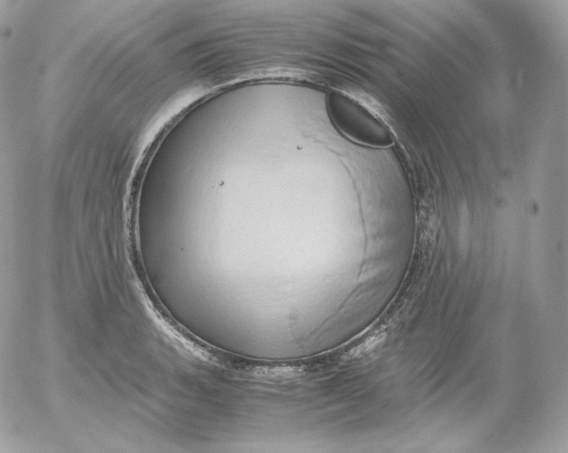 X0000052601135200507221627