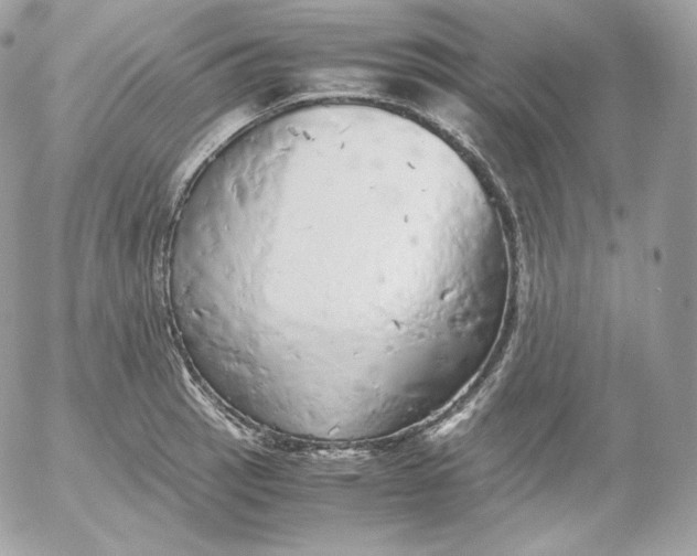 X0000052601137200507221627