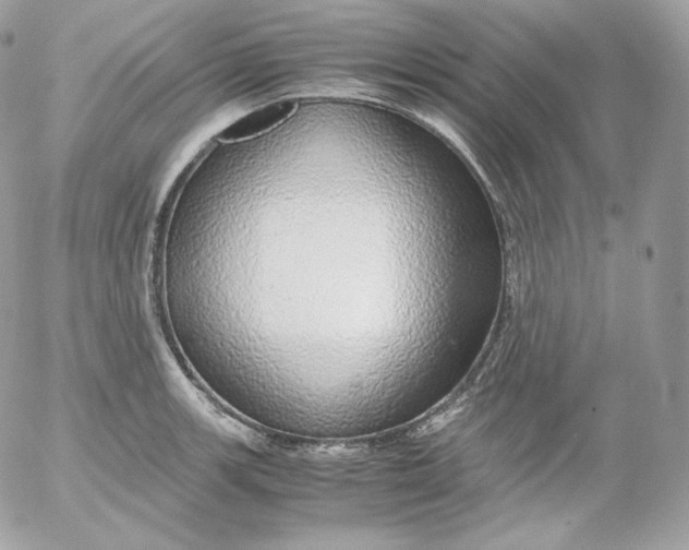 X0000052601139200507221627