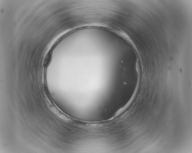 X0000052601140200507221627