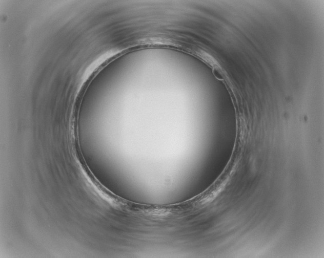 X0000052601141200507221627