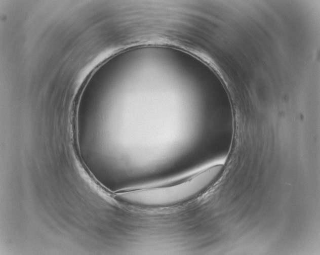 X0000052601142200507221627