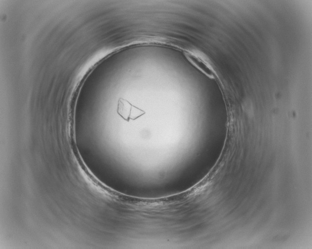 X0000052601143200507221627