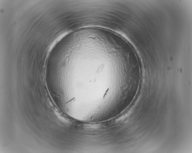 X0000052601145200507221627