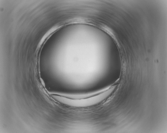 X0000052601146200507221627