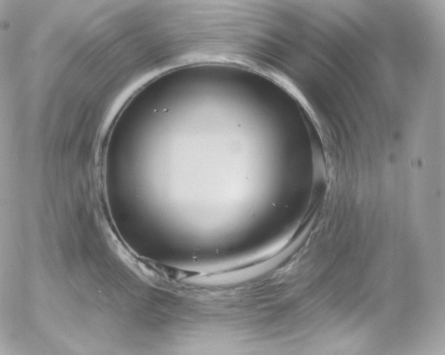 X0000052601148200507221627