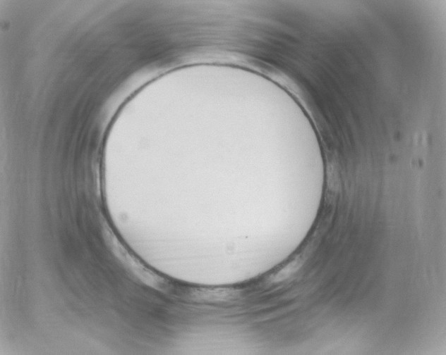 X0000052601150200507221627