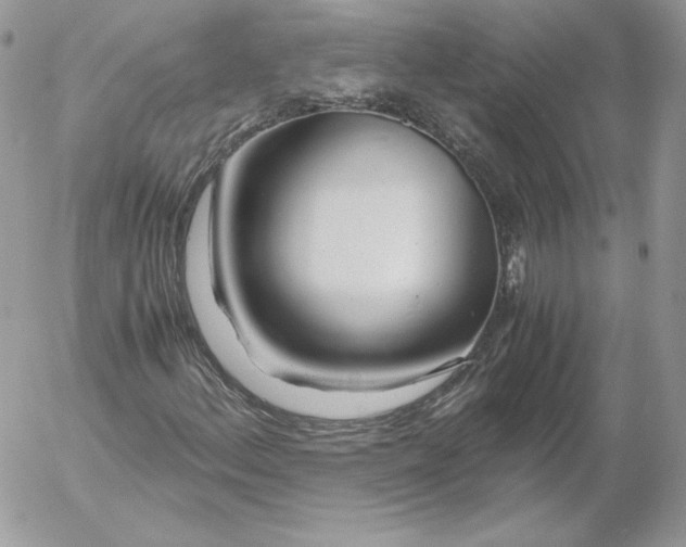 X0000052601156200507221626