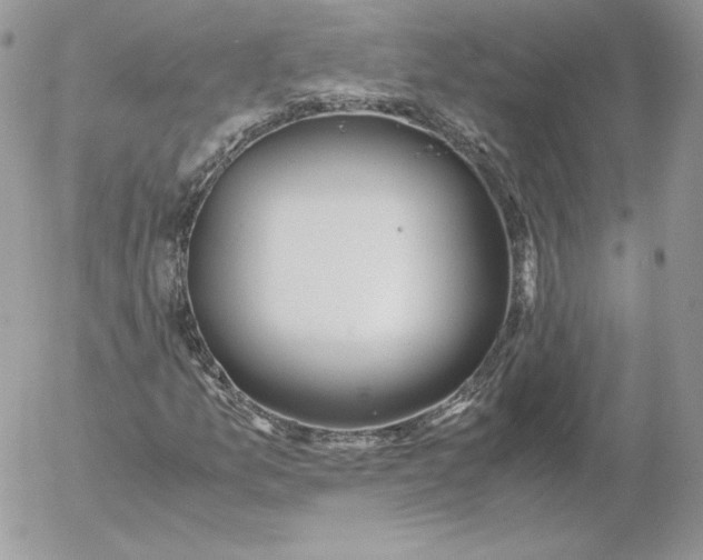 X0000052601157200507221626