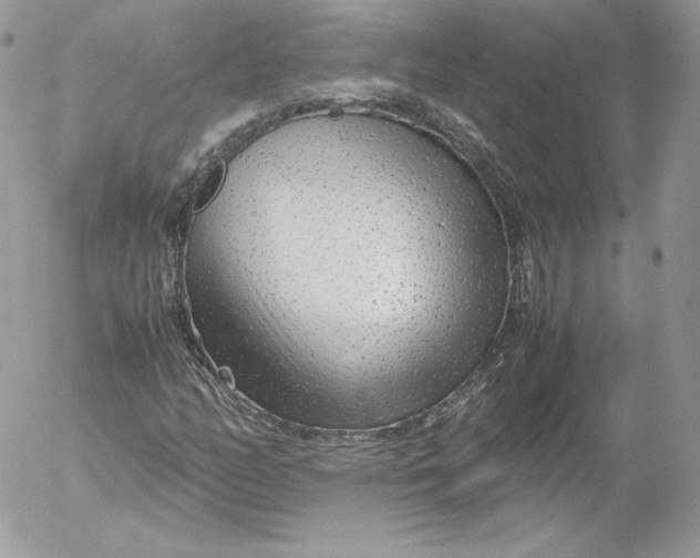 X0000052601158200507221626