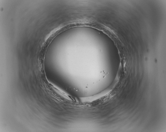 X0000052601160200507221626