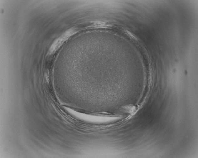 X0000052601161200507221626