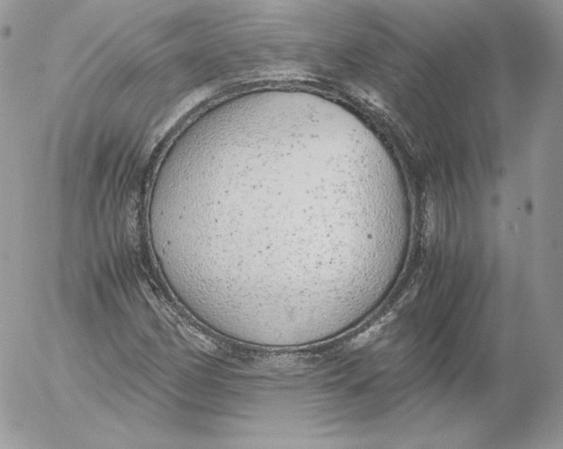 X0000052601162200507221626