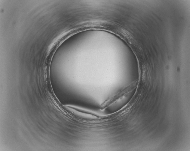 X0000052601164200507221626