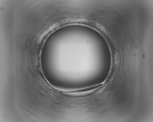 X0000052601165200507221626