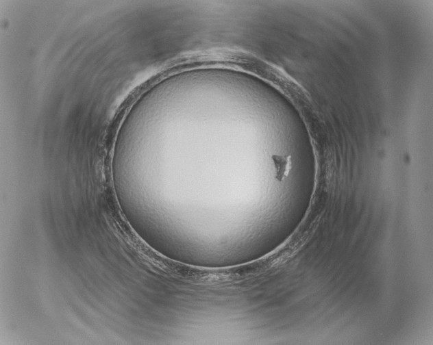 X0000052601166200507221626