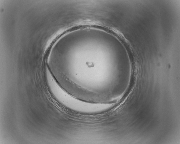 X0000052601167200507221626