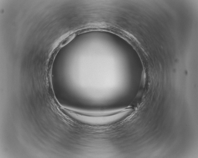 X0000052601168200507221626