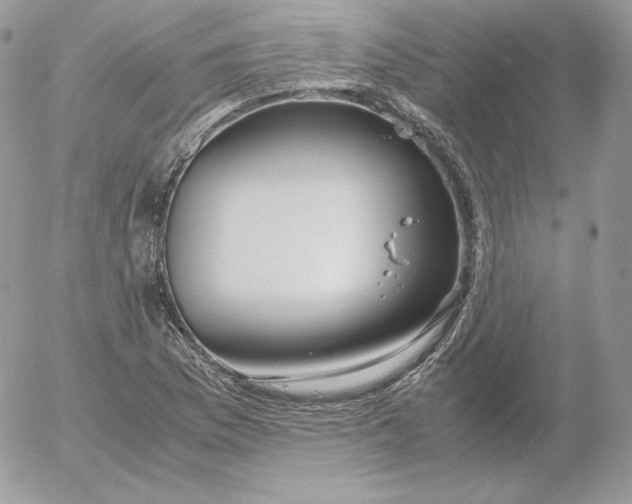 X0000052601169200507221626