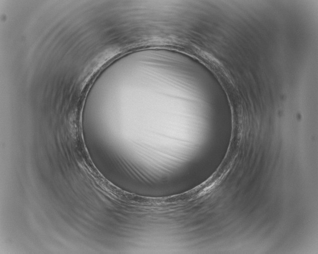 X0000052601170200507221626