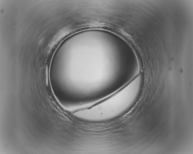 X0000052601171200507221626