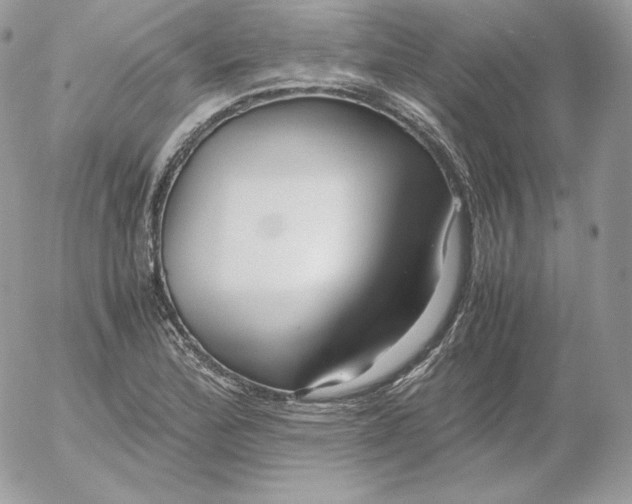 X0000052601172200507221626