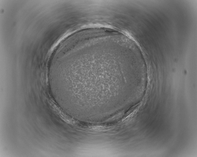 X0000052601173200507221626