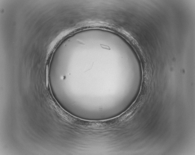 X0000052601175200507221626