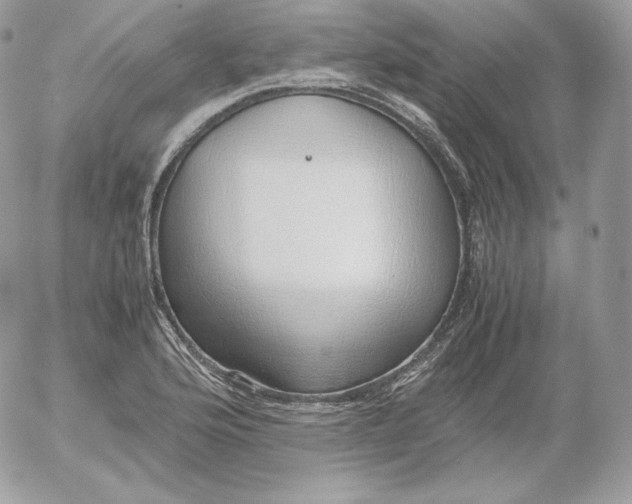 X0000052601176200507221626