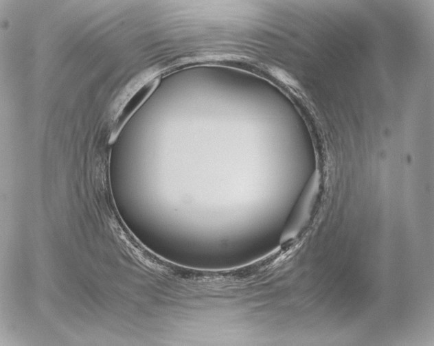 X0000052601177200507221626