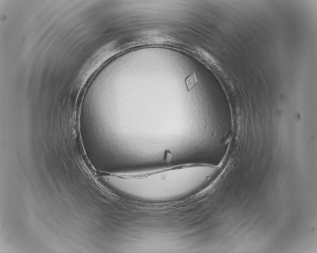 X0000052601178200507221626