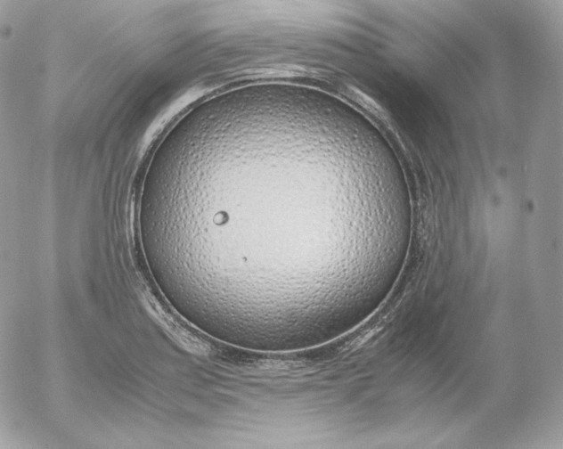 X0000052601179200507221626