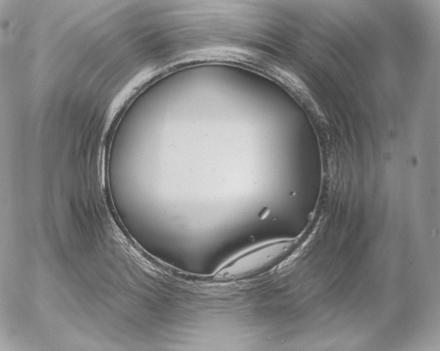 X0000052601180200507221626