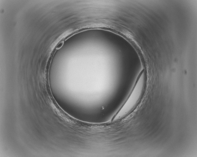 X0000052601181200507221626