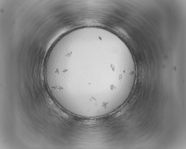 X0000052601182200507221626