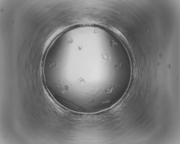 X0000052601183200507221626