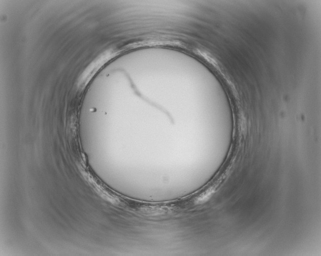 X0000052601185200507221626