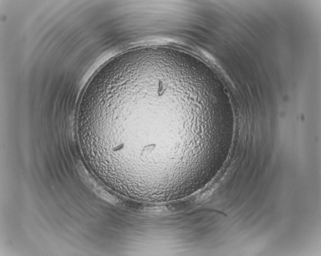 X0000052601186200507221626