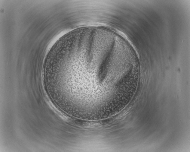 X0000052601187200507221626