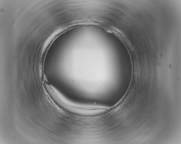 X0000052601188200507221626