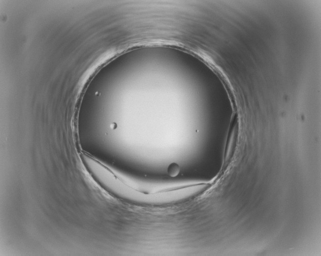 X0000052601189200507221626