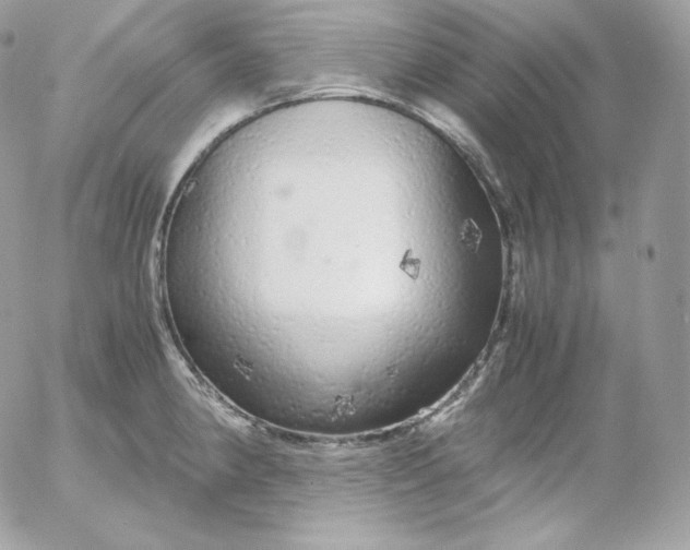 X0000052601190200507221626