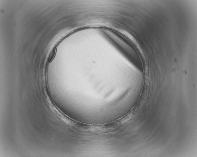 X0000052601191200507221626