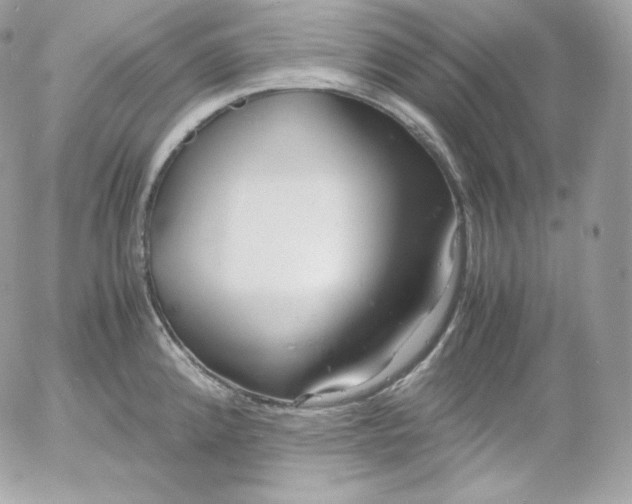 X0000052601192200507221626