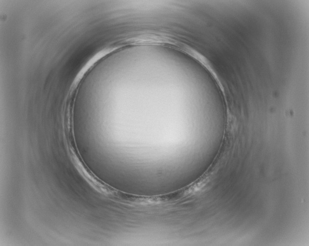 X0000052601195200507221626