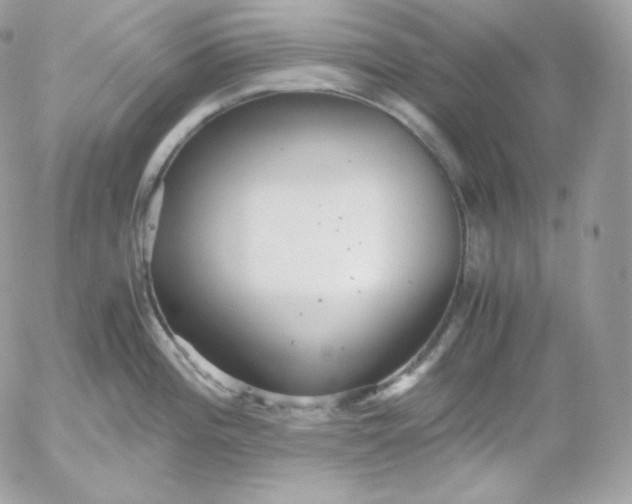 X0000052601196200507221626