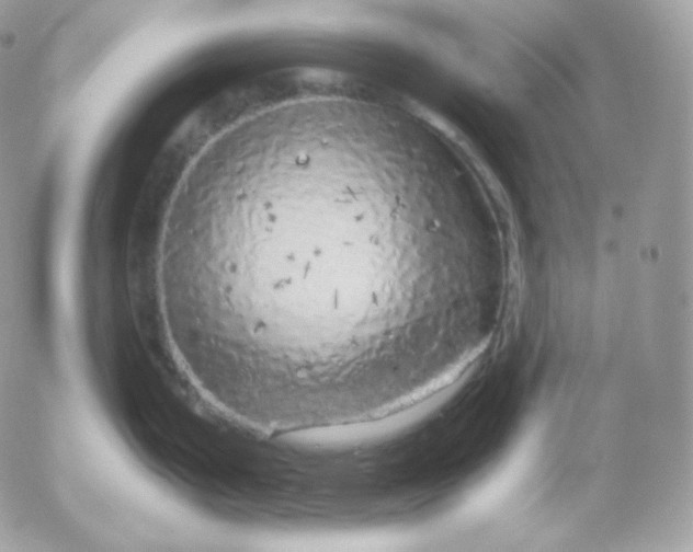 X0000052601199200507221626